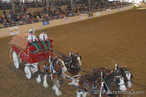 Budwiser Clydesdales - Burbank (December 28, 2008) - by QH