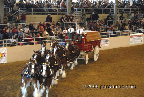 Budwiser Clydesdales - Burbank (December 28, 2008) - by QH