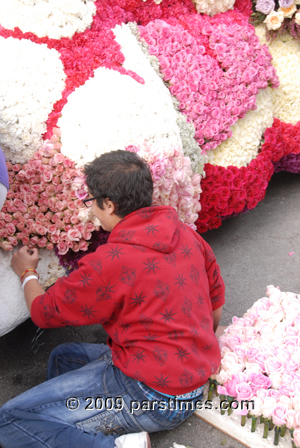 Volunteer working to decorate a float with roses - Pasadena (December 31, 2009) - by QH