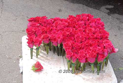 Roses used to decorate a flaot - Pasadena (December 31, 2009) - by QH