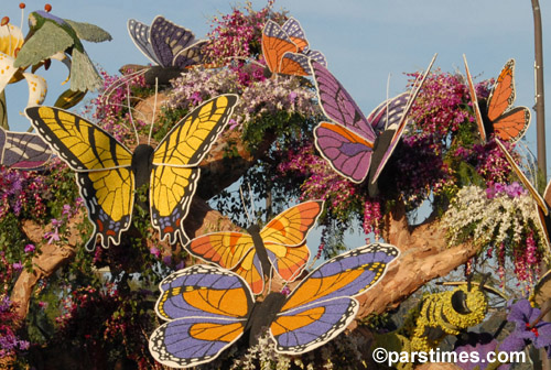 The FTD float: Jewels of Nature (Sweepstakes award) - Pasadena (January 1, 2007) - by QH