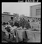 Teheran, Iran. Women doing their laundry in a Polish evacuee camp operated by the Red Cross