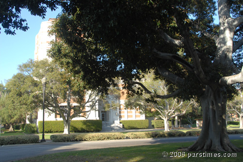 Dodd Hall - UCLA (October  18, 2008) - by QH