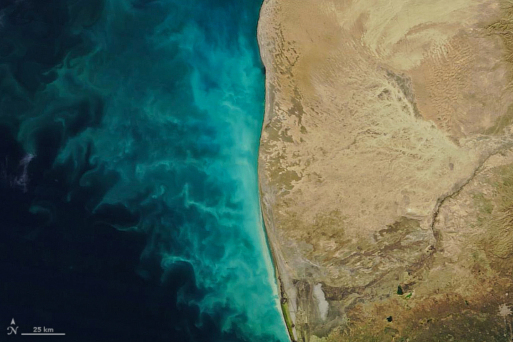 Tendrils of Sediment in the Caspian Sea - January 9, 2018