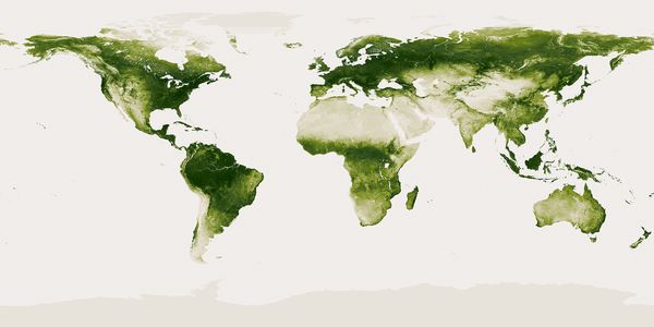 Green: Vegetation on Our Planet (NOAA