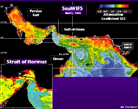 SeaWiFS image of 
northern Arabian Sea and Persian Gulf, November 6, 1999